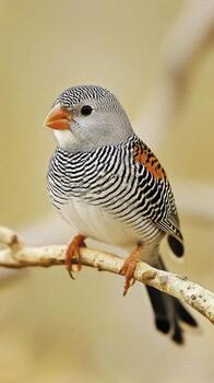 Colorful exotic bird perched on a branch with vibrant feathers and striking patterns photo