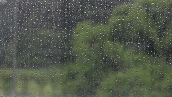 Close-up view of a window pane covered in numerous glistening raindrops, creating a beautifully blurred green background of trees and foliage, evoking a sense of calm and a rainy day atmosphere video