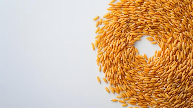 Spiral of Golden Rice Grains on White Background photo
