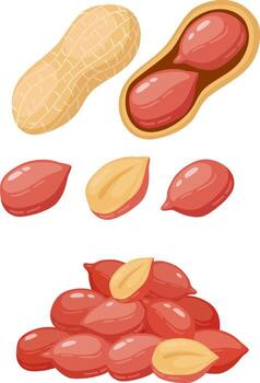 Peanuts in shell and shelled creating pile vector
