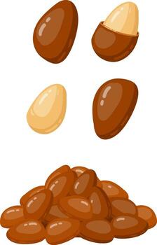 Pine nuts in shell and shelled with a pile vector