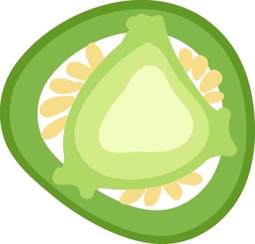 Jalapeno pepper slice showing its inner structure and seeds vector