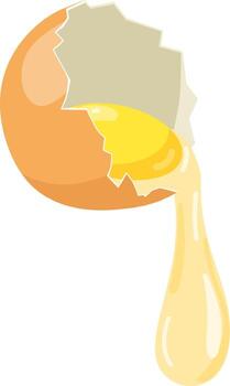 Broken eggshell cracking with yolk dripping vector