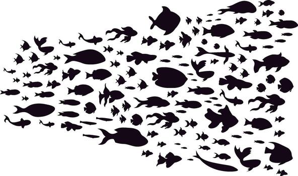 School of fish creating abstract pattern on white background vector