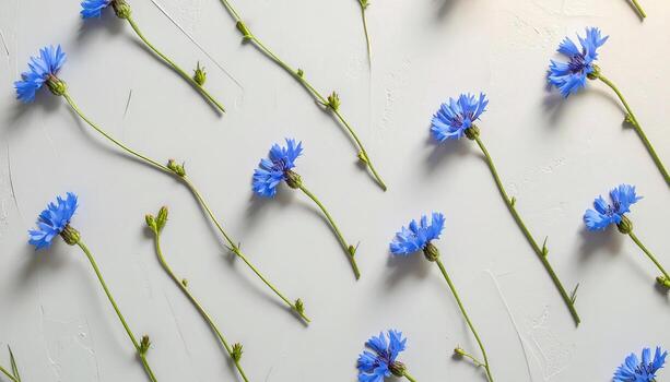 Delicate blue cornflowers arranged in a diagonal pattern on a textured light gray background create a serene and visually appealing design. photo
