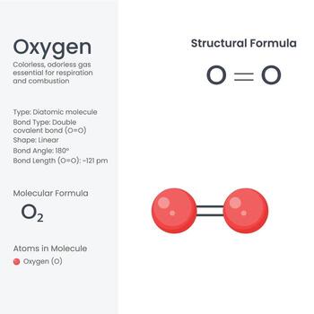 Oxygen Molecule O2, Diatomic Structural Formula and Chemistry Ball-and-Stick Model vector