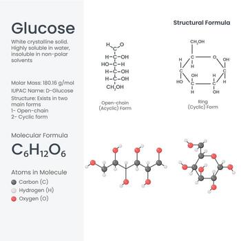 Glucose Molecule C6H12O6, Structural Formula, Open-Chain and Ring Model Illustration vector