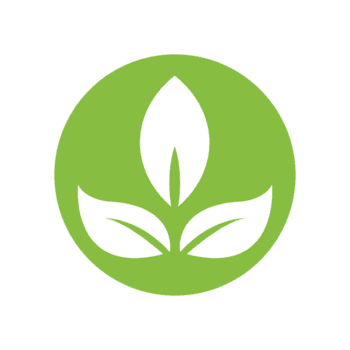 Minimalist Flat Style Leaves Sprout in Circle Shape Organic Logo png