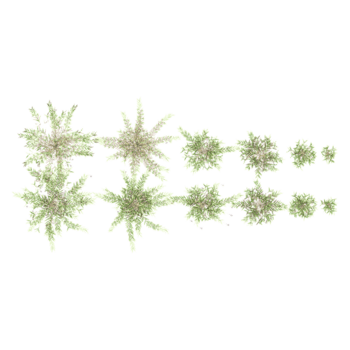 3d interpretazione di verde erba su trasparente sfondo a partire dal il superiore Visualizza png