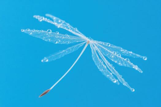 delicado diente de león semilla con agua gotas foto