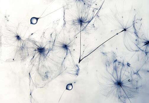 delicado diente de león semilla cabezas en abstracto, etéreo ligero foto