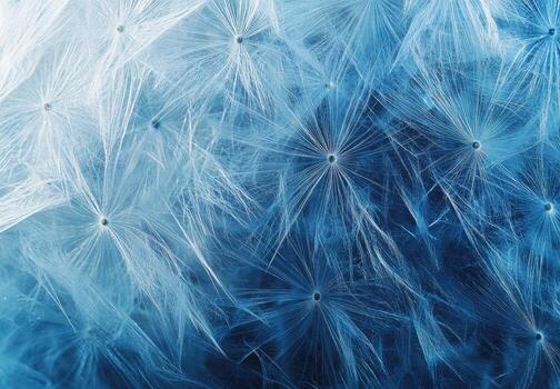 Close-up of delicate, intricate seed-heads photo