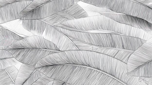 Abstract foliage pattern, monochrome with feathery shapes and textured detail photo