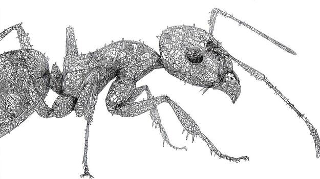 Detailed wireframe-style drawing of an ant, viewed from the side photo