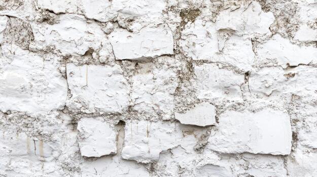Whitewashed Stone Wall Texture photo