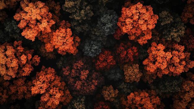 Abstract fractal floral pattern photo