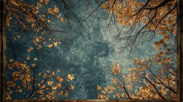 Autumnal canopy view from below photo