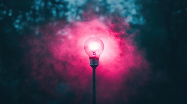 Illuminated lightbulb in a dark forest photo