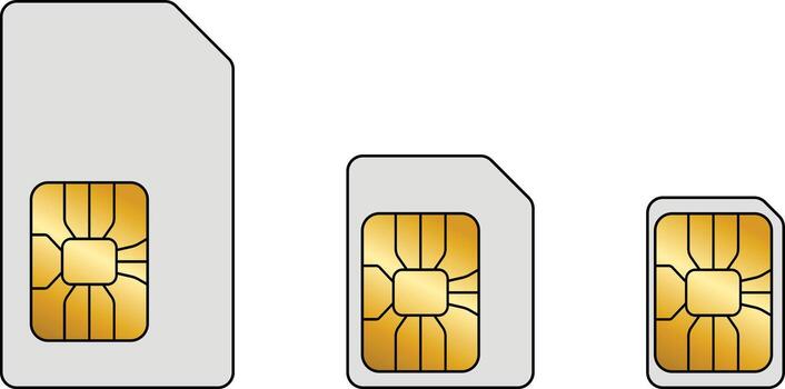 Illustration of SIM card varieties without background vector