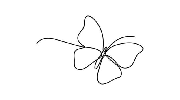 Minimalist single line drawing of a butterfly with open wings insect vector