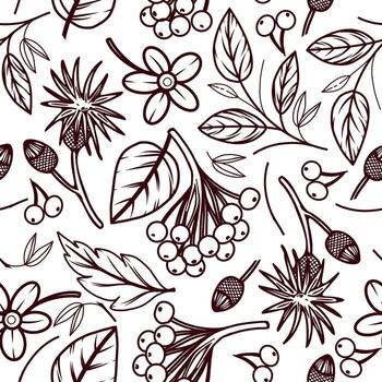 Seamless pattern. Leaves, berries, twigs and plants of the forest, all hand-drawn in . The illustration is suitable for printing on fabric, paper, textiles and design vector