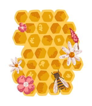 Bee with honeycomb and flowers in flat style with noise texture vector