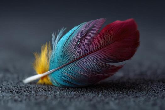 Beautiful multi-colored feather resting on a dark textured surface photo