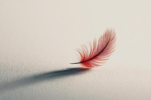 Floating feather with faint red tint resting on a smooth surface photo