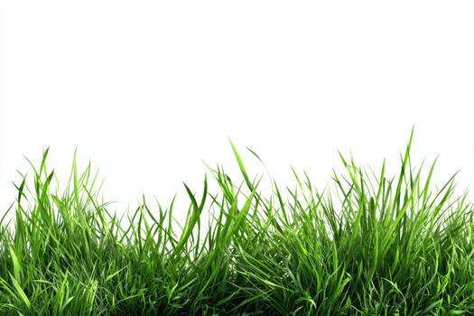 Fresh green grass cutouts on a white background for design and decoration use photo