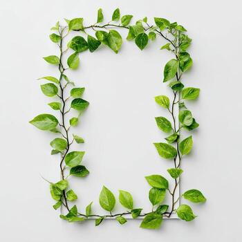 Green leaves in a square frame on a white surface photo