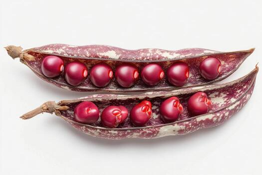 Close-up of a split, speckled bean pod, revealing multiple bright red beans photo