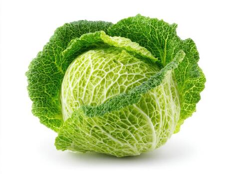 Close-up image of a whole, fresh cabbage with textured, green leaves against white backdrop photo