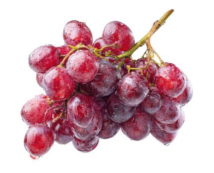 A close-up of a bunch of ripe, juicy red grapes with water droplets photo