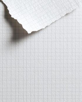 Torn sheet of graph paper with textured surface. Fragment hangs over the background photo