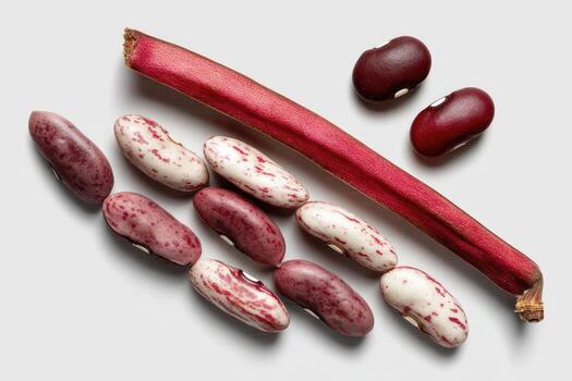 surtido de frijoles y un vibrante rojo vástago arreglado en un blanco superficie foto