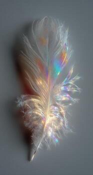 Close-up of a delicate white feather displaying iridescent rainbow color refraction photo