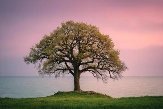 A lone tree with sprawling branches sits on a grassy knoll overlooking a calm body of water at sunset photo