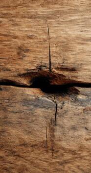 Close-up of a weathered, wooden plank with a large, dark hole photo