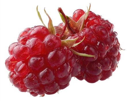 Two ripe raspberries, close-up, on white background. Dew drops cling to the plump, vibrant red berries. Stems and green leaves are visible photo