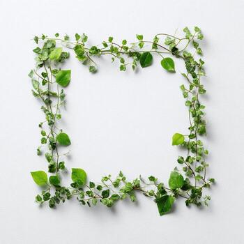 A square frame crafted from vibrant green vines with small leaves on a plain white surface photo