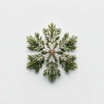 A symmetrical snowflake constructed from green sprigs on a white background, minimalist photo