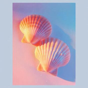 Two scallop shells in a pastel pink and blue gradient background with warm lighting photo