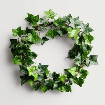 Overhead shot of a circular wreath composed of various shades of green ivy against a white backdrop photo