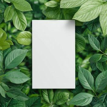 A blank white rectangle framed by lush, green leaves, creating a natural and clean aesthetic photo