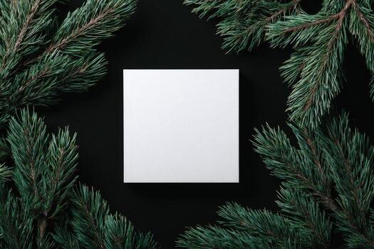 A white square on a black background, surrounded by pine branches, suggesting space for text photo