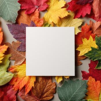A square, white blank canvas is centered on a bed of vibrantly colored fall foliage photo