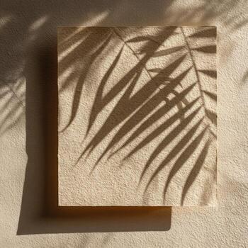 A palm frond's shadow cast over a textured square against a neutral backdrop, softly lit photo