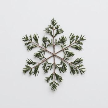 A snowflake shape artfully created from green leafy sprigs on a bright white backdrop photo