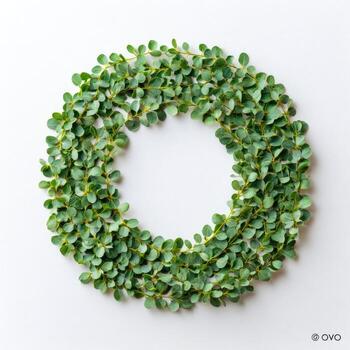Overhead shot of a circular garland of tiny green leaves against a stark white background photo