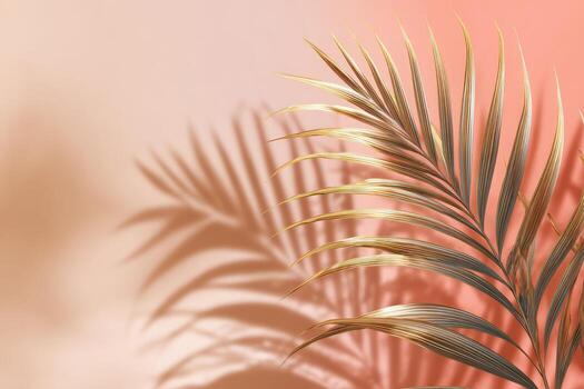 Golden palm frond casts a shadow on a coral gradient background with a tropical feel photo